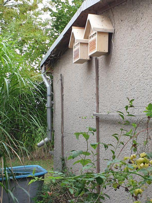 Insektehotels